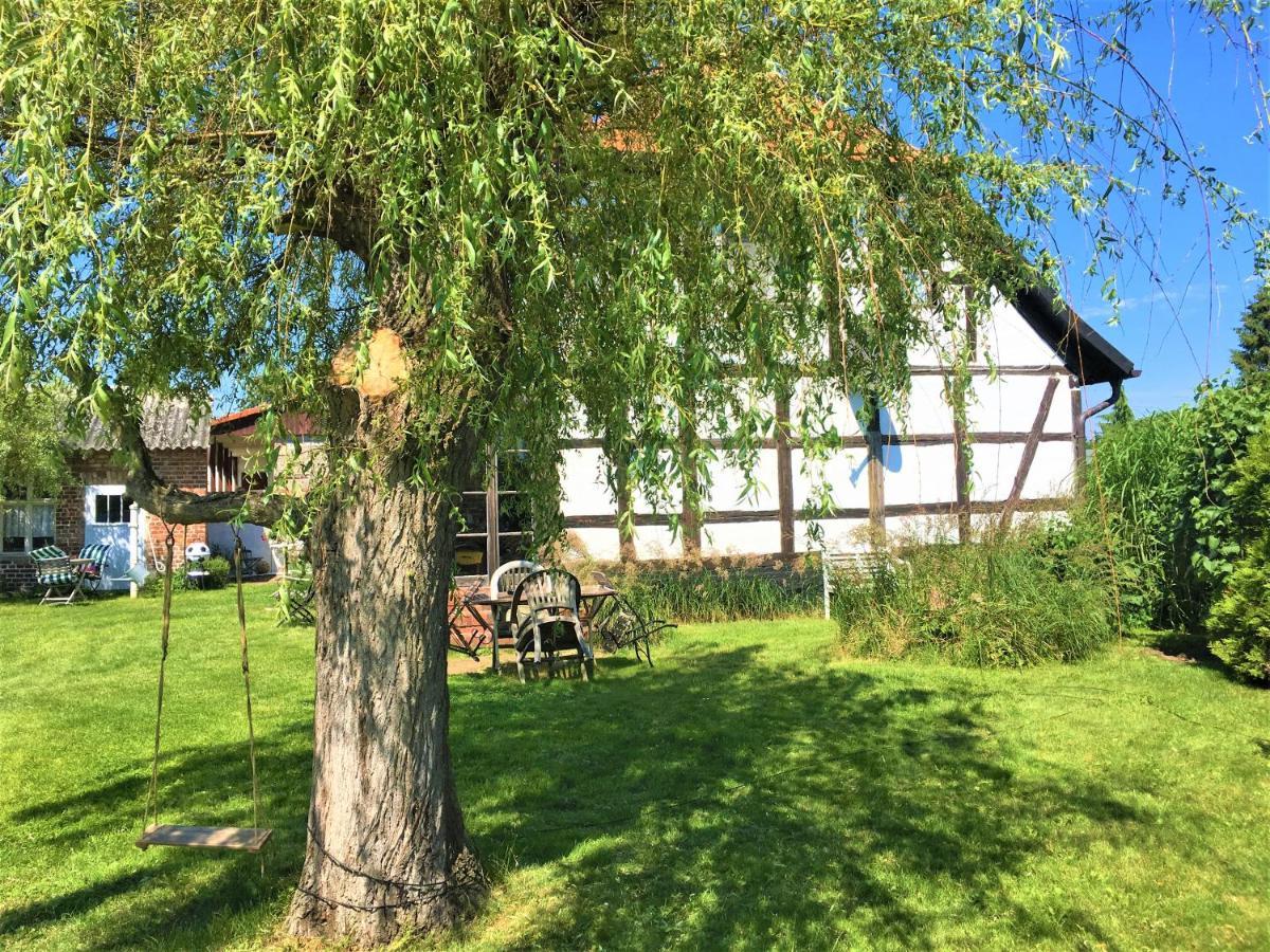 Fischerhaus Godewind 60 Qm Altwarp Exterior photo